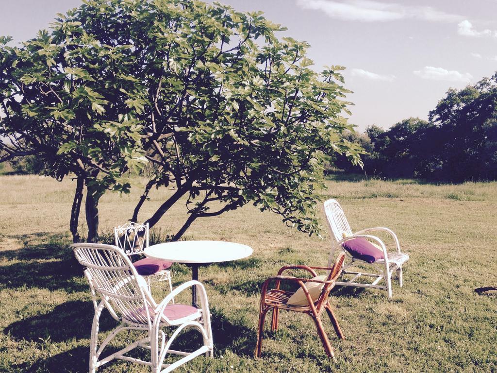 B&B Mas Coquells Habitacion Genover Vilanant Esterno foto